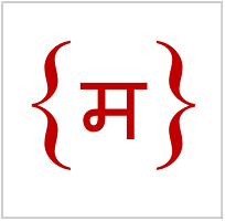 TransLiteral logo